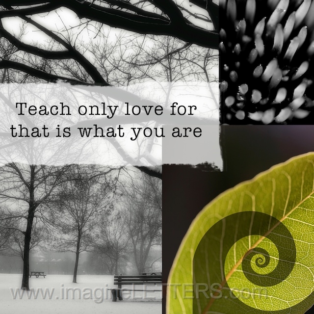 Wall_Art_Alphabet_Photography_Art_ 2620.jpg